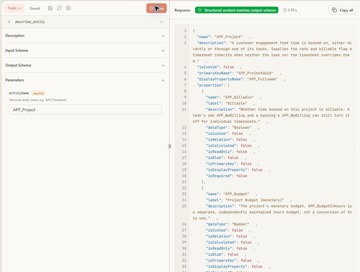 MCPJam describe_entity tool result