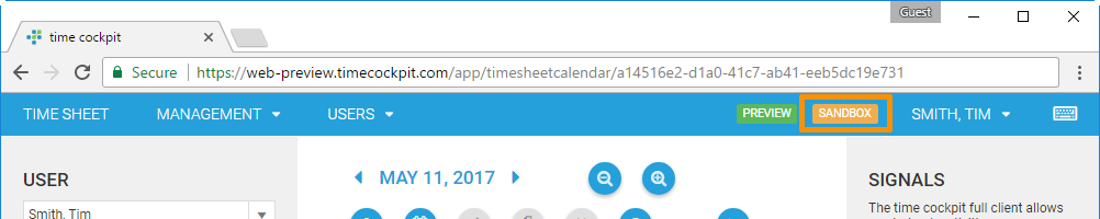 Preview/sandbox badge